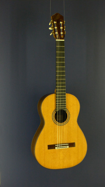 Rolf Eichinger Torres Modell, Meistergitarre Zeder, Palisander, Baujahr 2006, Mensur 64 cm
