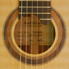 Karl Höfner, klassische Gitarre, Zeder, Santos Palisander, Rosette, Schild