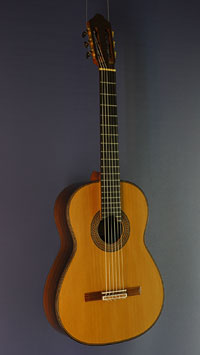 Antonius Müller Meistergitarre Zeder, Laminatop, Doubletop, Riopalisander, Baujahr 2017