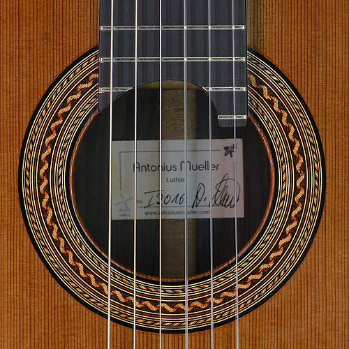 Antonius Müller Meistergitarre Zeder, Palisander, Baujahr 2016, Rosette, Label