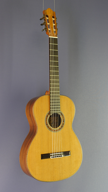 Thomas Friedrich Meistergitarre Zeder, Palisander, 2016